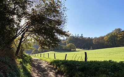 Prachtige herfstwandeling in het Rijk van Nijmegen