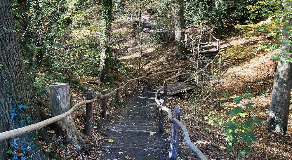 Trappen in het bos