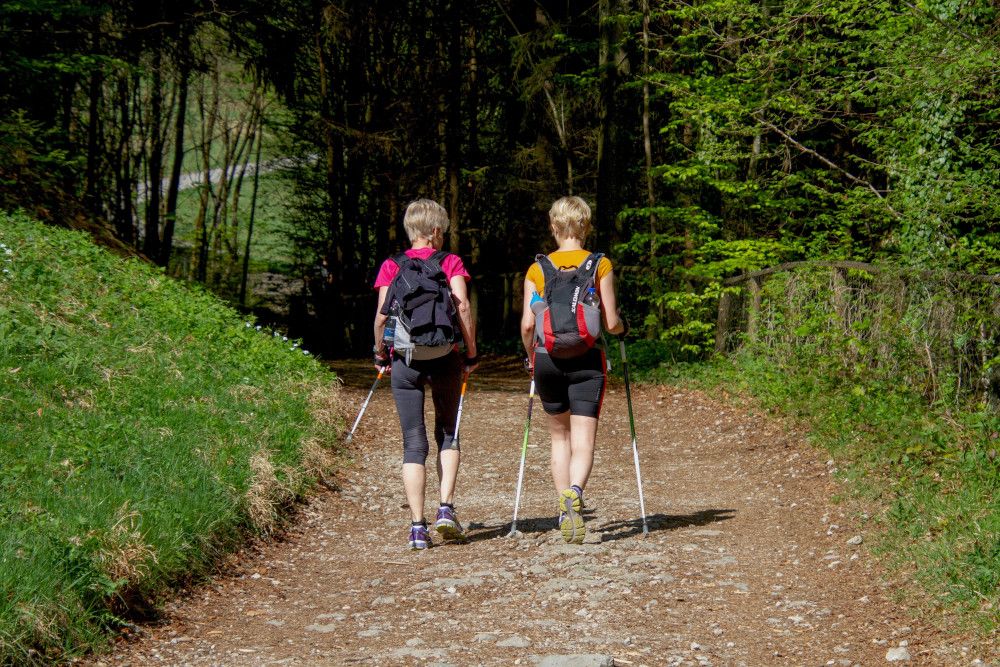 Meer gaan wandelen als goed voornemen