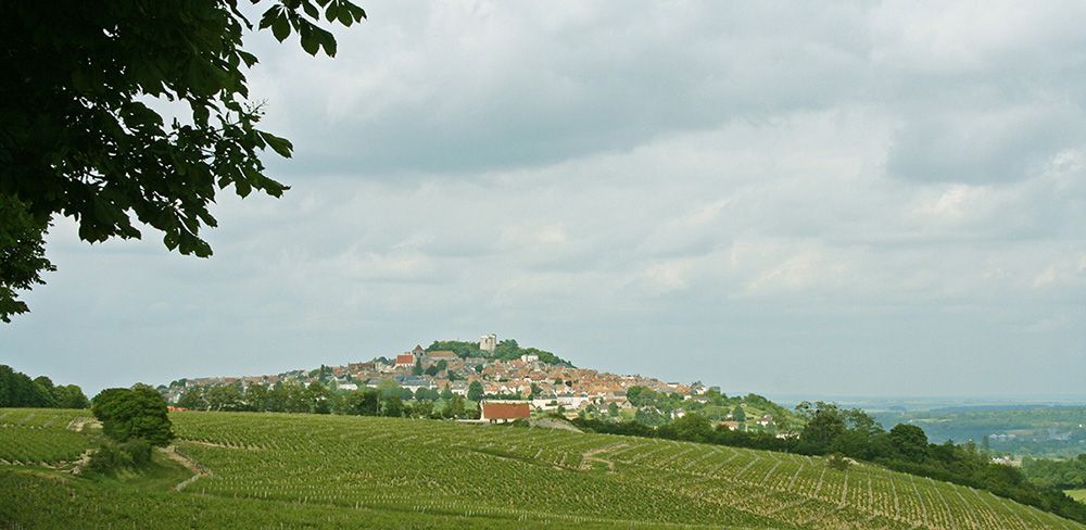 Glooiend landschap langs de Loire.