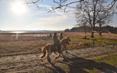 Fietsroute Op zoek naar Oude Willem in Drenthe