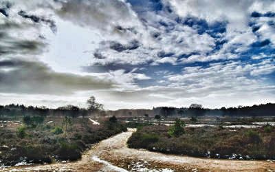 De heide bij Laren en Hilversum, een fijn wandelgebied