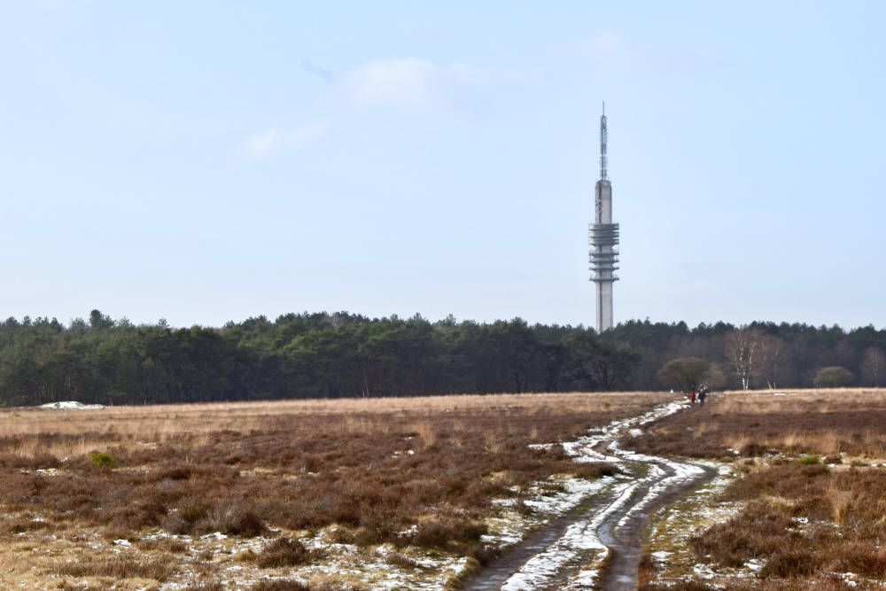 grijsopreis-nederland-highlight-heide-laren-hilversum-tvtoren-mobiel