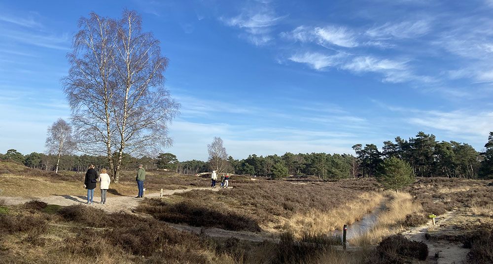 Drukte bij een wandeling in landgoed Bornia