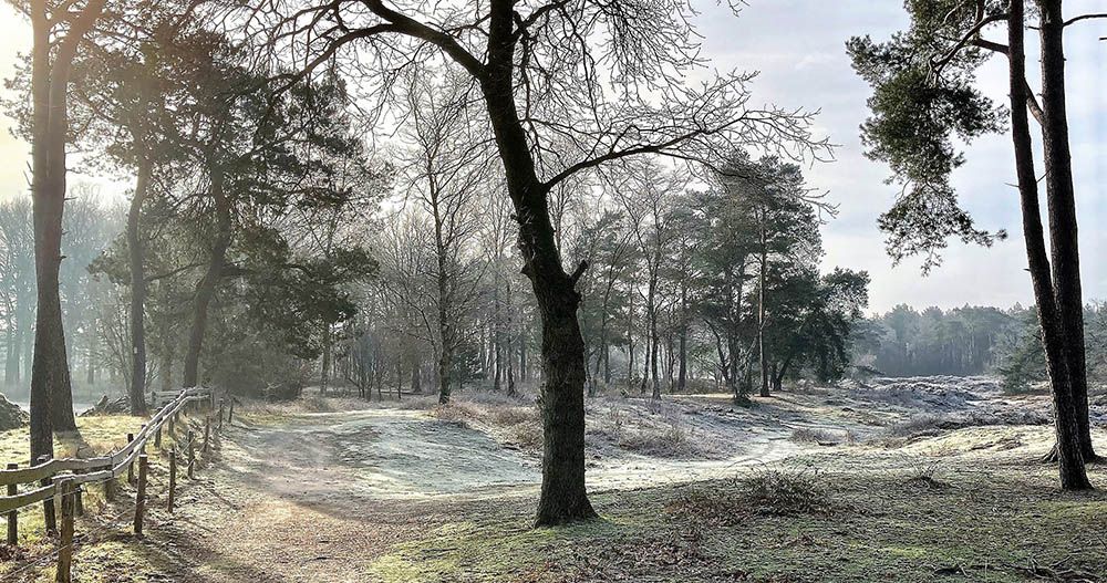 Wandeling bij Den Treek