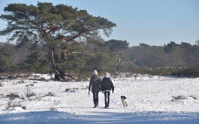 Wandeling in het Gooi vanuit Crailo: alle seizoenen mooi!