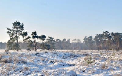 Wandelen over Landgoed Den Treek-Henschoten