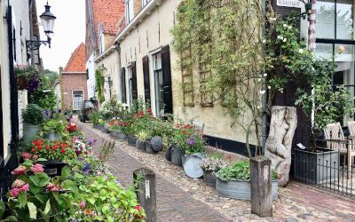 Hanzestad Elburg bezoeken: alle hoogtepunten