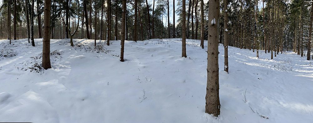 Grafheuvel in de Kaapse Bossen