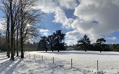 Wandeling door het winterwonderland van de Kaapse Bossen bij Maarn