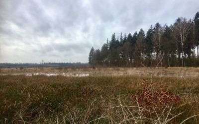 Wandeling bij Hooghalen naar Kamp Westerbork