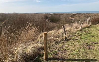 Strandwandeling bij Den Haag door de duinen en heidevelden