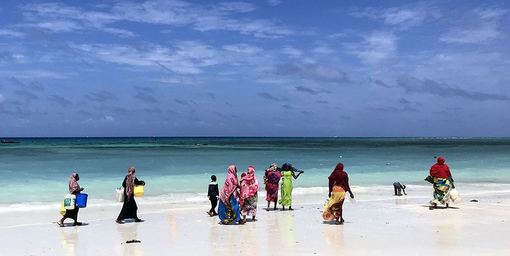 Strand Zanzibar, Tanzania