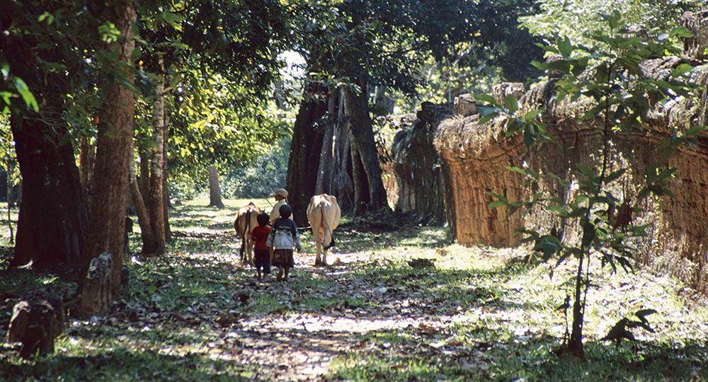 Omgeving van Angkor Wat