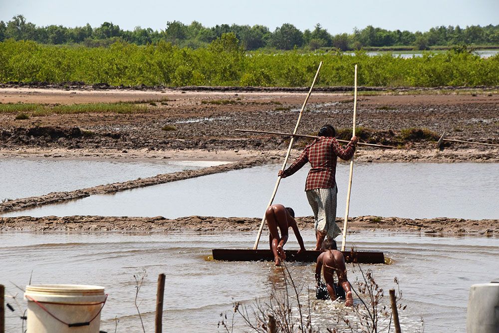 Vrouw met kinderen werken op land in regio Kampot.