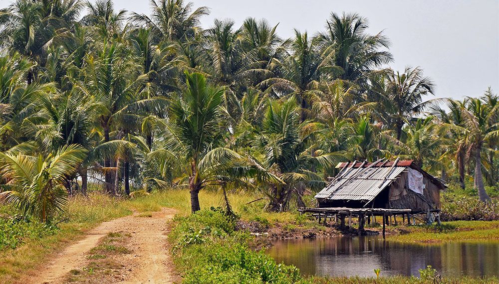 Eenvoudig huisje tussen palmbomen in regio Kampot.