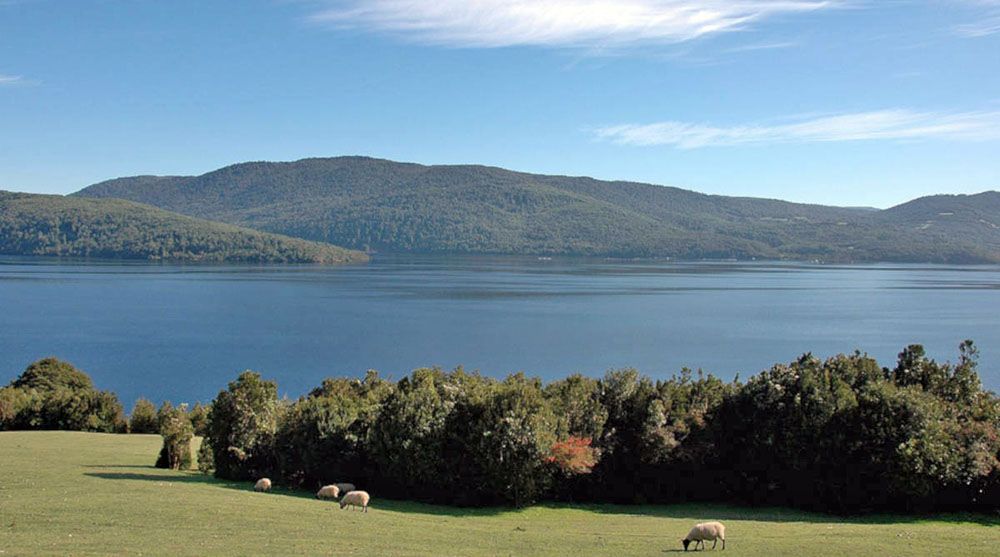 Lago Cucao in Chili omgeven door groene weiden.