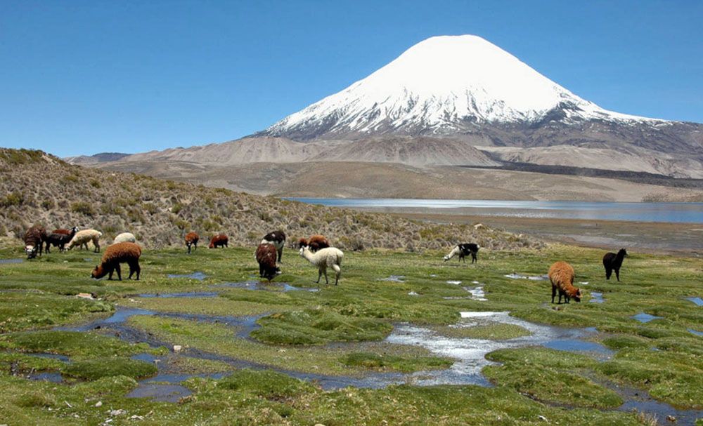 Lauca National Park in Chili kent hoge bergtoppen