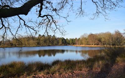 Campervakantie in Nederland: roadtrip door eigen land