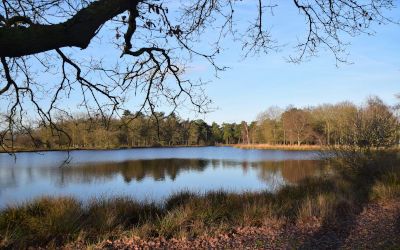 Campervakantie in Nederland: roadtrip door eigen land