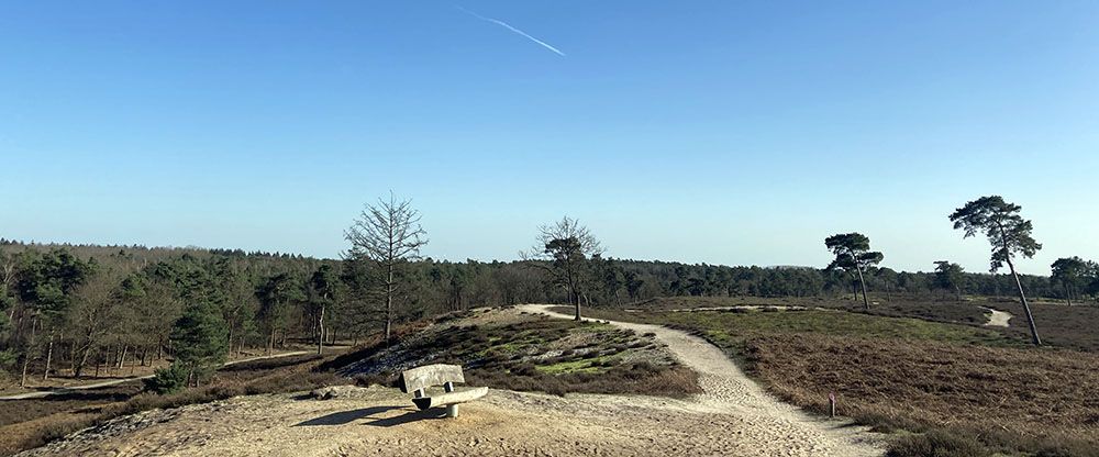 Hoogste duin in NP De Maasduinen