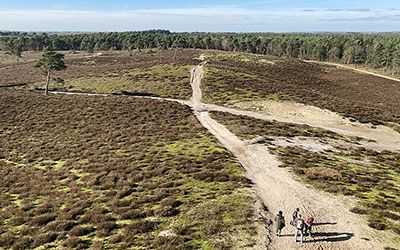 Wandeling door Nationaal Park de Maasduinen