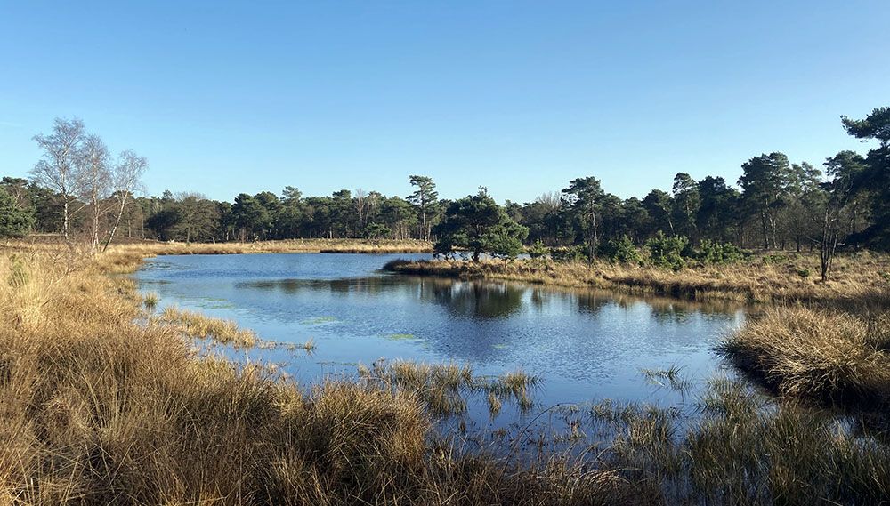 Zevenboomsven in Nationaal Park De Maasduinen