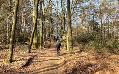 Mountainbiken in het Montferland: een prachtige route