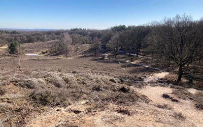 Wandeling over de Veluwezoom: bekroond tot mooiste NS-tocht