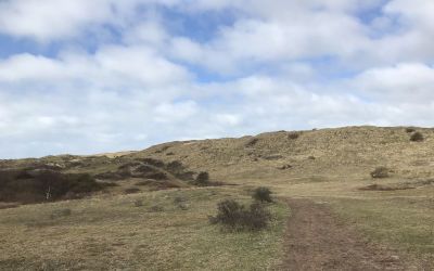 Wandeling bij Bakkum: bos, duinen en strand