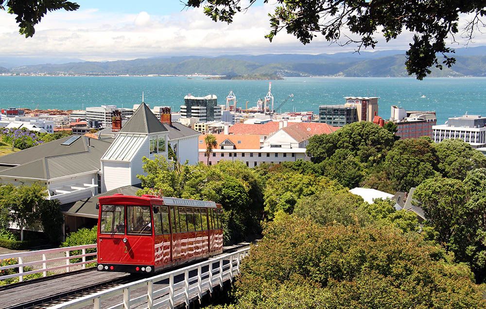 grijsopreis-nieuw-zeeland-footer-te-papa-wellington uitzicht op Wellington en te papa museum, Nieuw-Zeeland.
