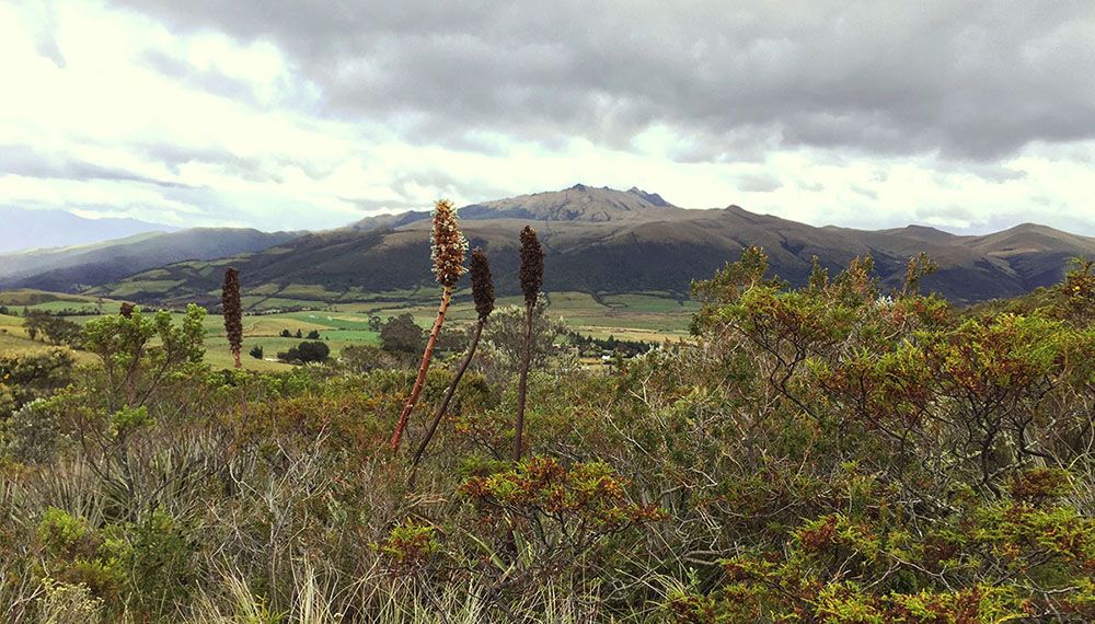 Landschap bij de Cotopaxi vulkaan in Ecuador.