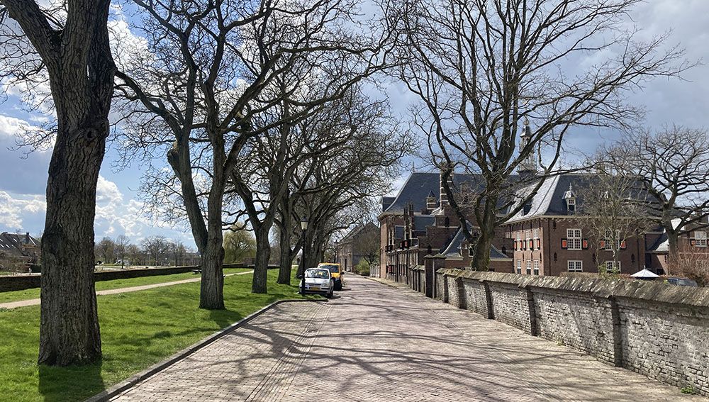 Oranjestad Buren. Een perfecte combinatiewandeling door een bijzonder pittoresk stadje en langs ontluikende bloesem in de omgeving!