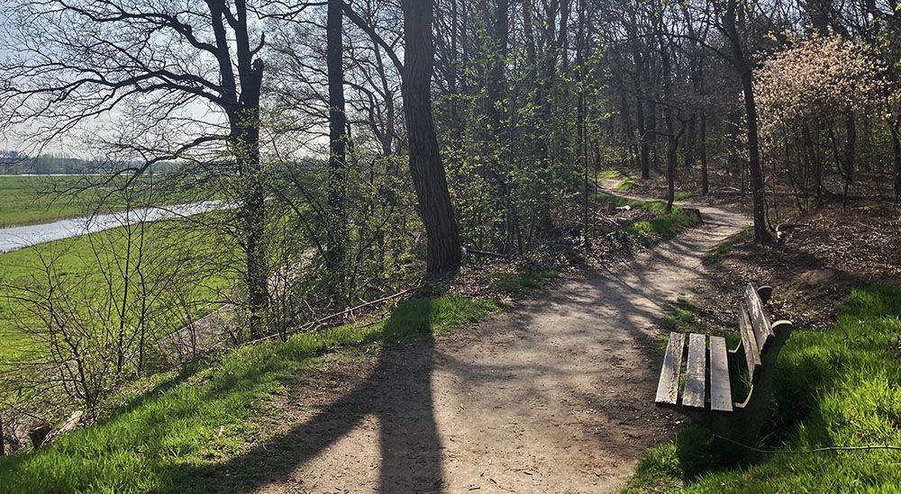 Bankje in het bos