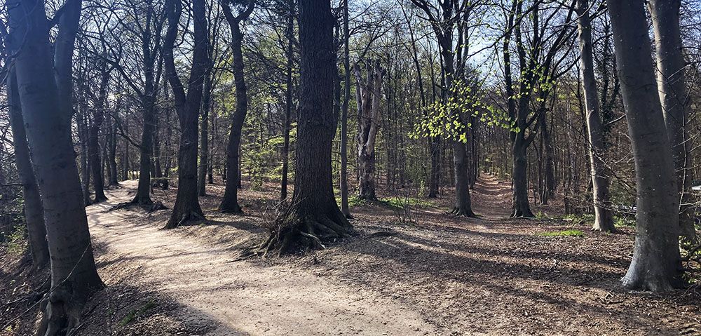 Gevarieerde wandeling bij vestingstad Wageningen