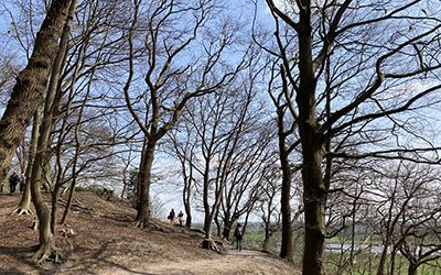 Bijzonder gevarieerde wandeling bij vestingstad Wageningen