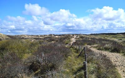 Wandeling bij Noordwijk: de prachtige zandhagedisroute