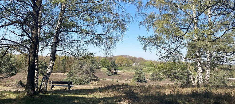 Bankje aan de Brunssummerheide