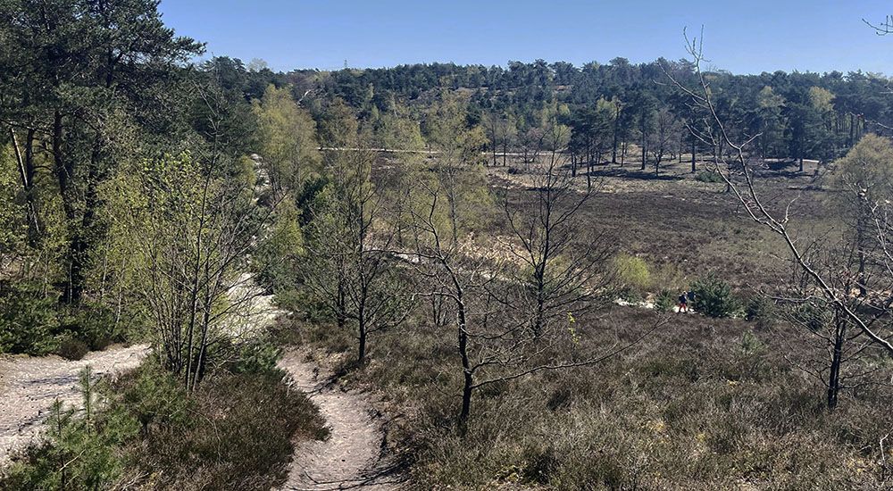 Heuvel af op de Brunssummerheide