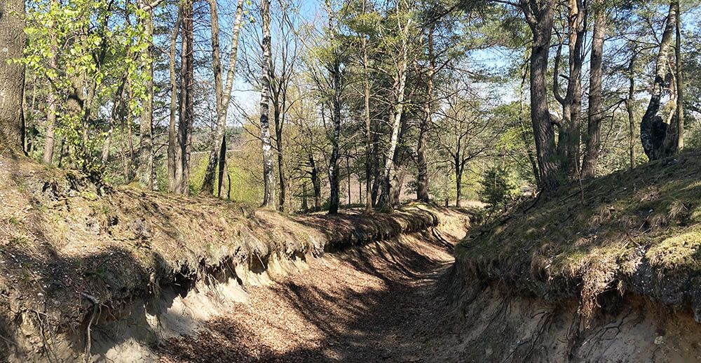 Holle weg door de Brunssummerheide