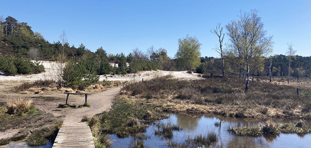 Roode Beek door de Brunssummerheide