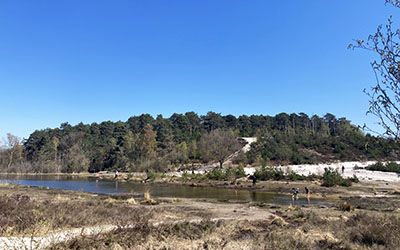 Prachtige duin- en boswandeling over de Brunssummerheide