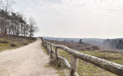 Wandeling naar de Posbank in Nationaal Park Veluwezoom