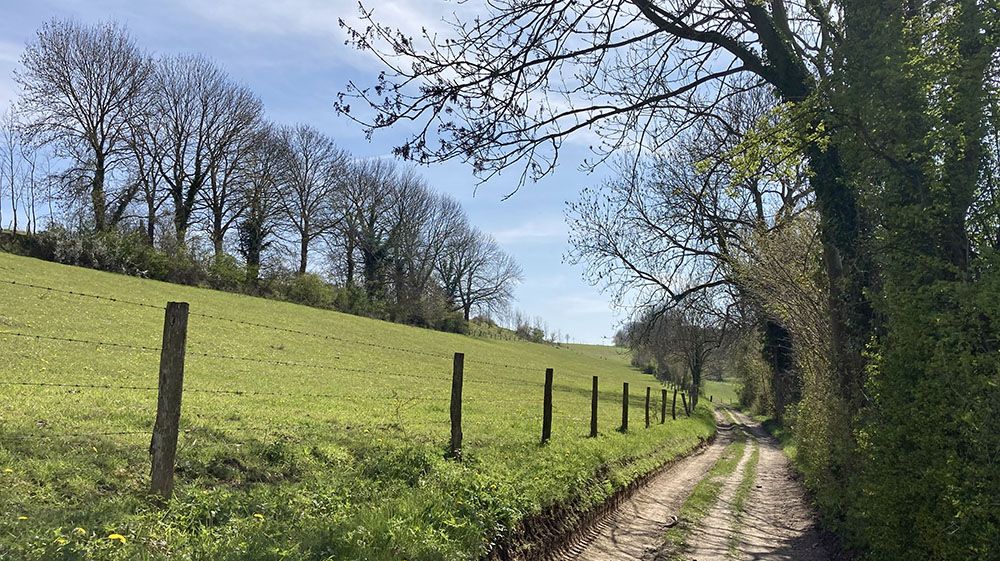 Wandelen in de omgeving van Valkenburg