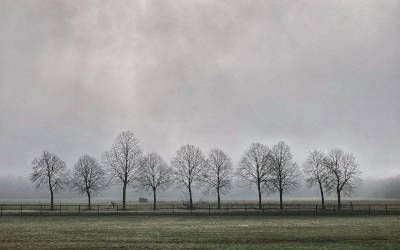 Wandeling in het Montferland: Bergherbos en boerenlandschap