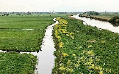 Laveren tussen de Wierickes: wandelen in het Groene Hart