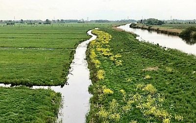 Laveren tussen de Wierickes: wandelen in het Groene Hart