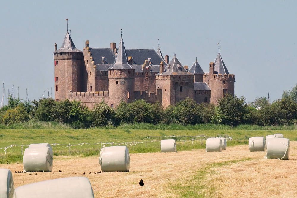 grijsopreis-nederland-highlight-fietstocht-vecht-muiderslot2-mobiel