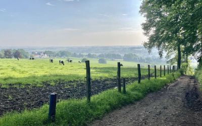 De Dutch Mountain Trail: prachtige tocht in Zuid-Limburg