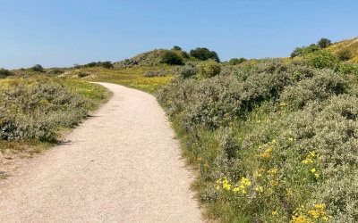 Een prachtige wandeling bij Katwijk – bos, duinen en strand